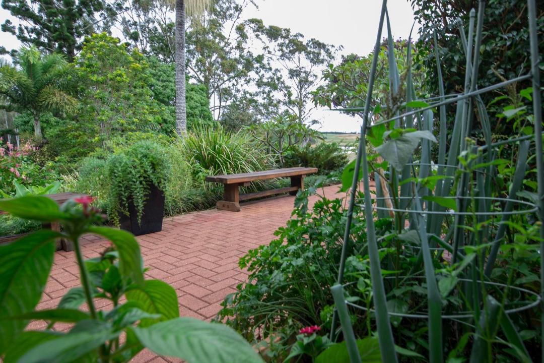 Photo of Others in Yungaburra