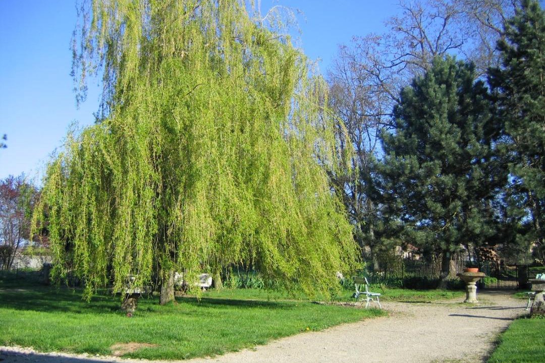 Photo of Others in Bulgneville