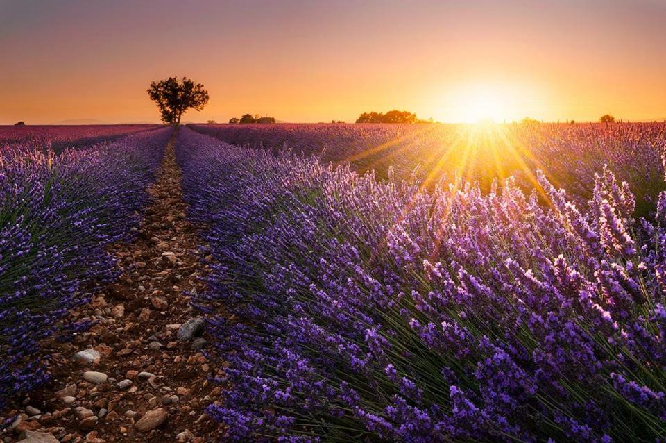 Photo of Outdoor in Coustellet