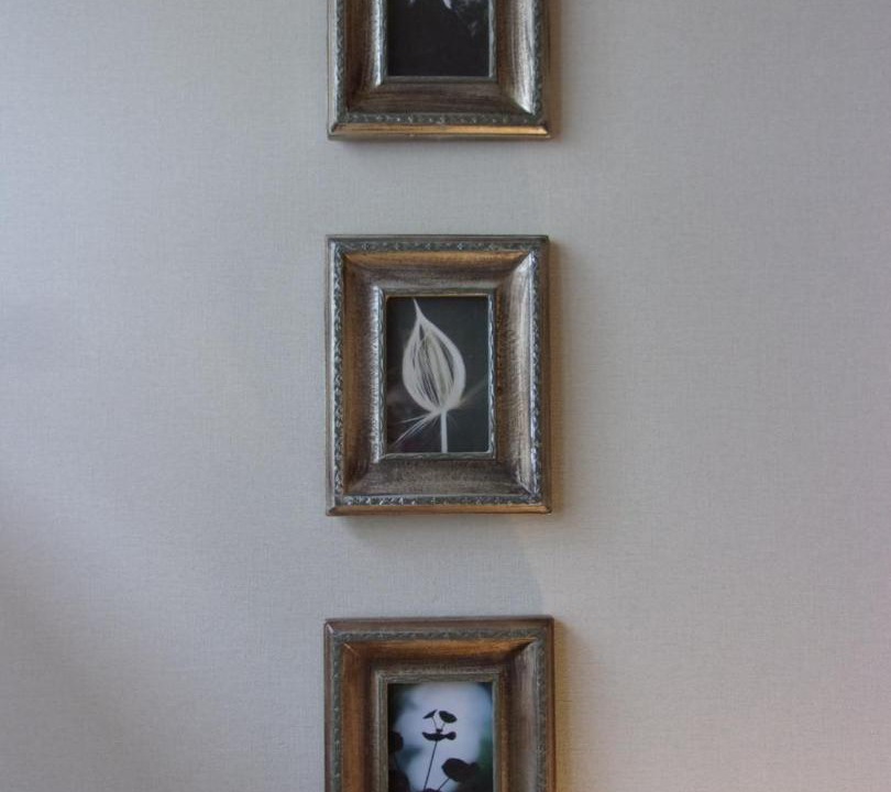 Photo of Others in Chavanges