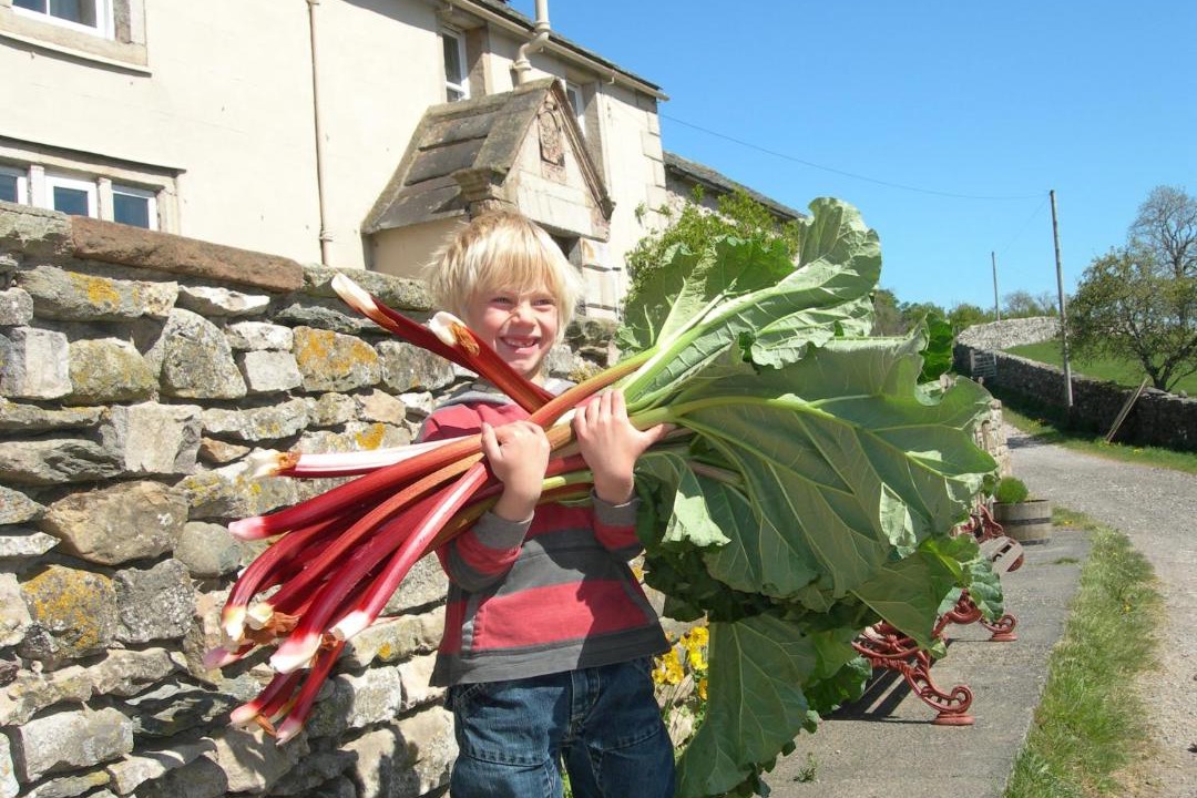 Photo of Others in Penrith