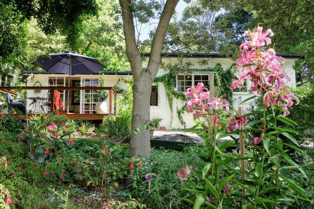 Photo of Others in Tecoma