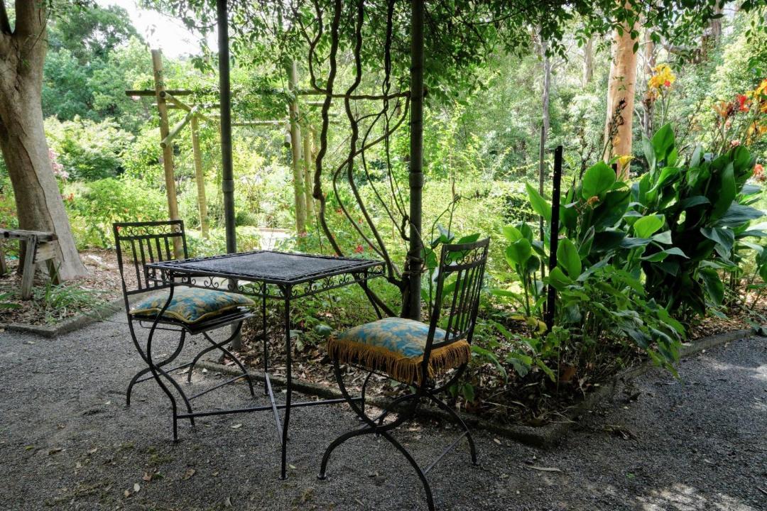 Photo of Others in Tecoma