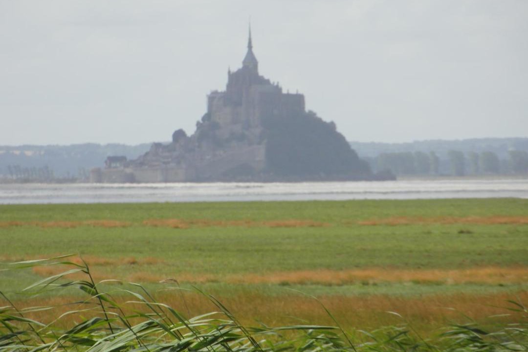 Photo of Others in Vains