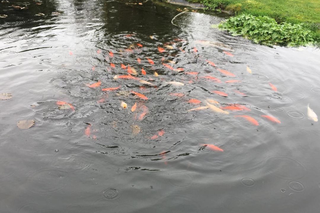 Photo of Outdoor in Lacock