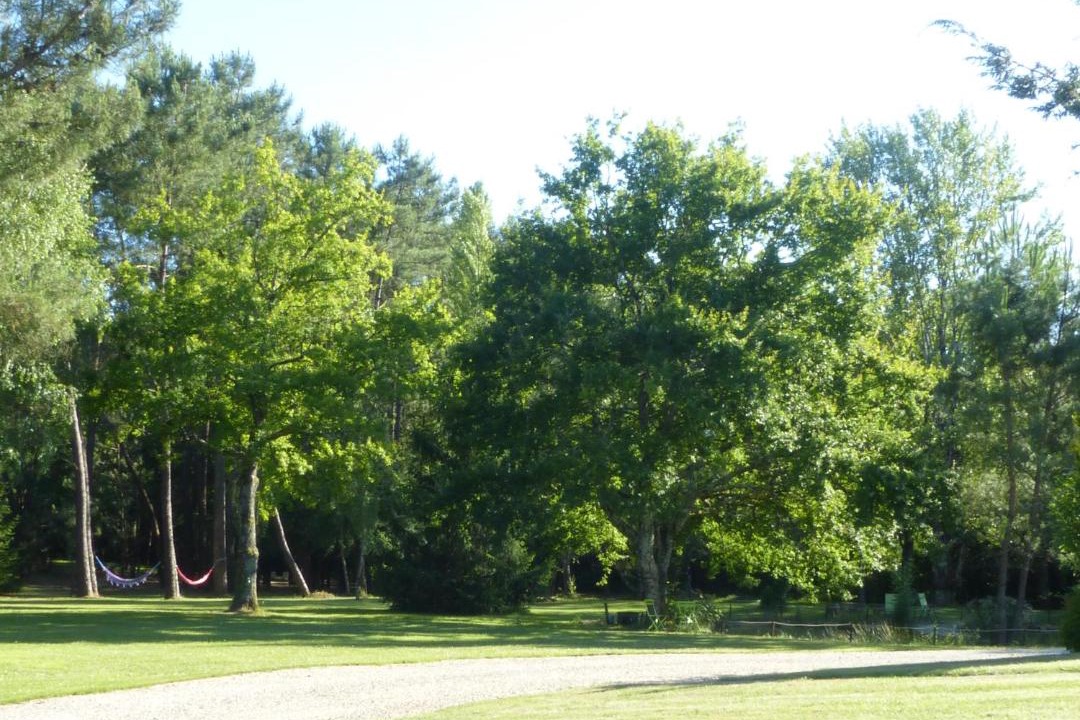 Photo of Others in Saint-Ciers-dAbzac