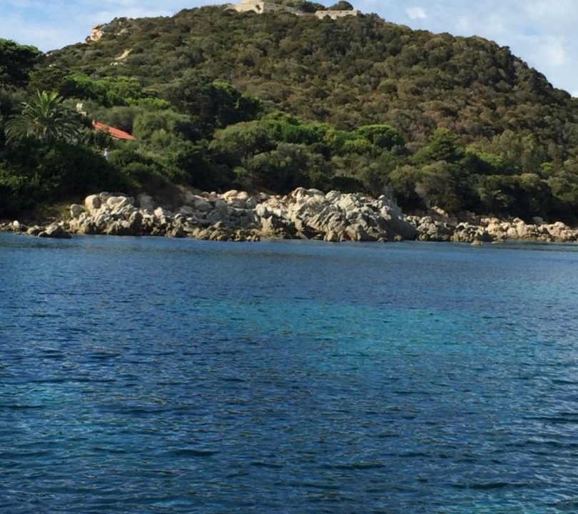 Photo of Others in Olmeto