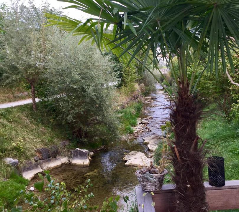 Photo of Others in Wetzikon