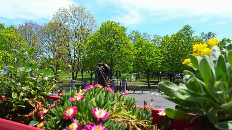 Photo of Others in Salem