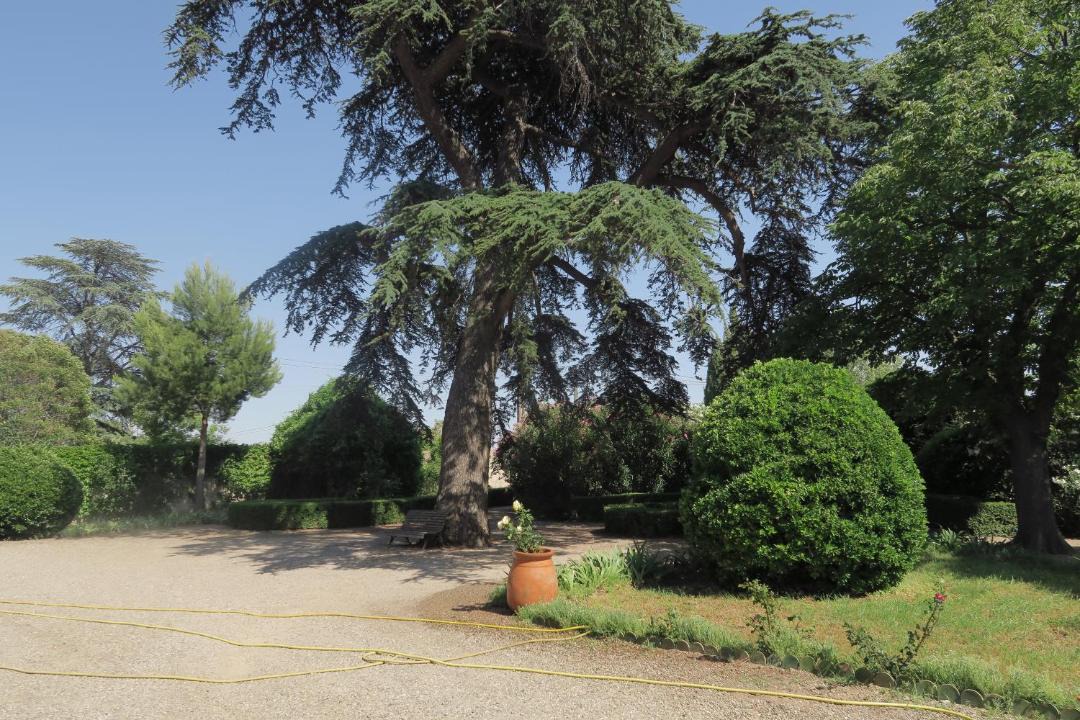 Photo of Others in Ouveillan