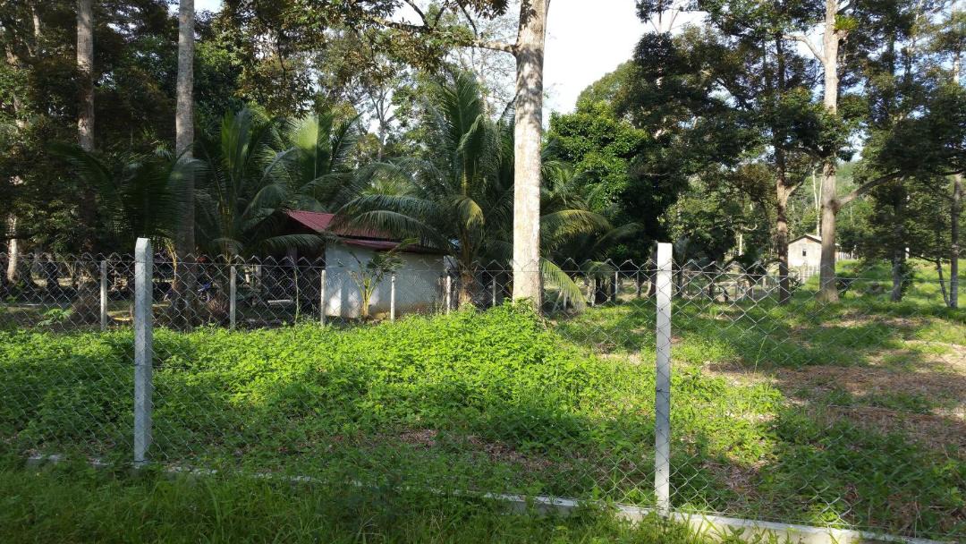 Photo of Others in Kuala Kangsar