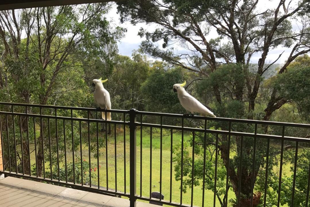 Photo of Others in Berowra Heights