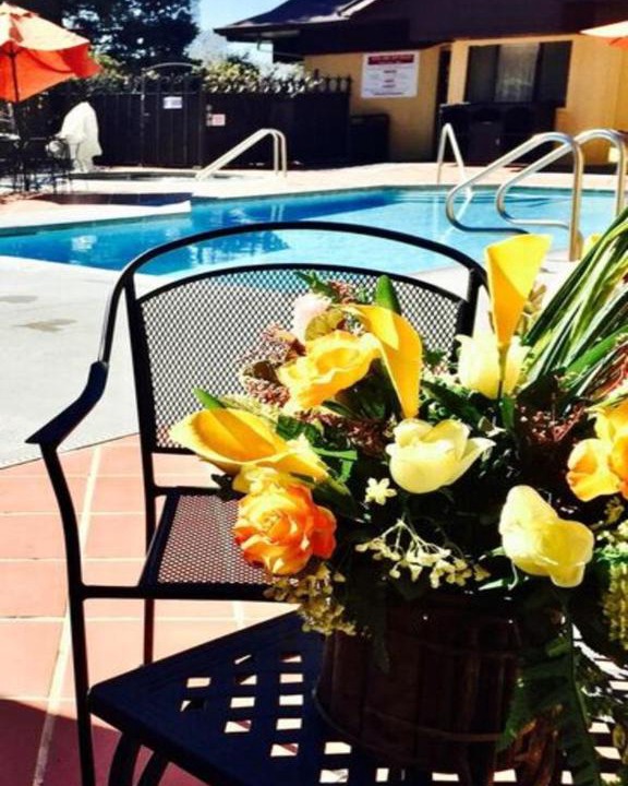 Photo of Others in Placerville