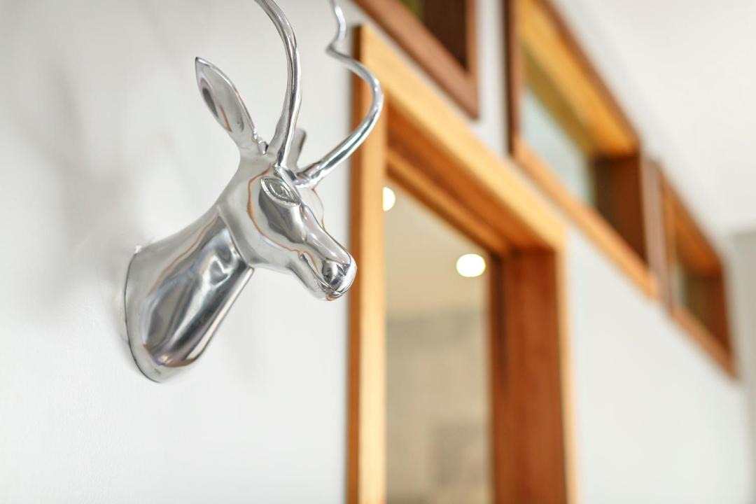 Photo of Others in Downtown St. John's