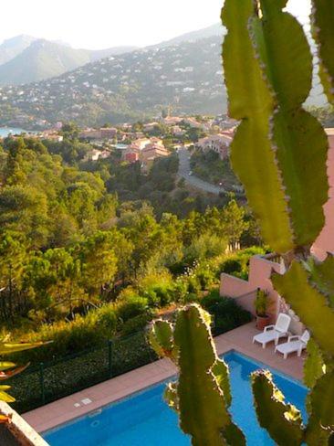 Photo of Outdoor in Theoule-sur-Mer