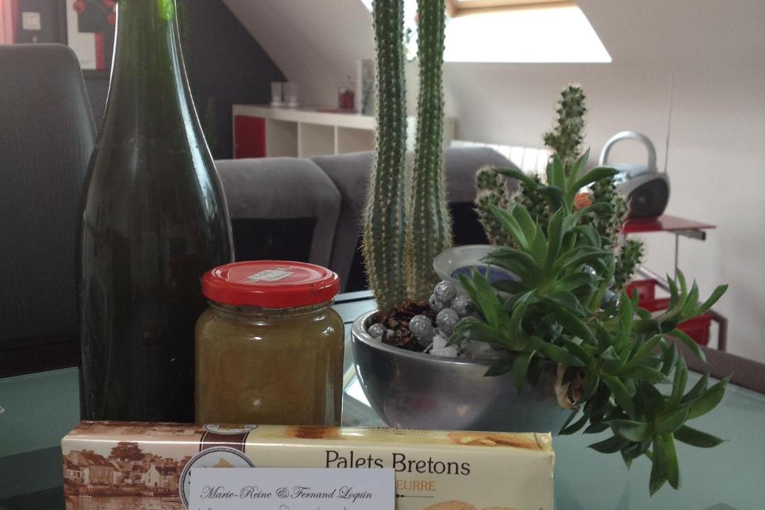 Photo of Livingroom in Pleneuf-Val-Andre