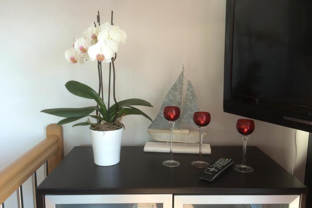 Photo of Others in Pleneuf-Val-Andre