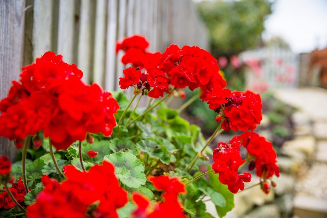 Photo of Others in Winchcombe