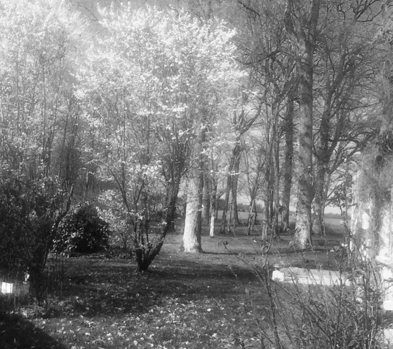 Photo of Others in Saint-Branchs