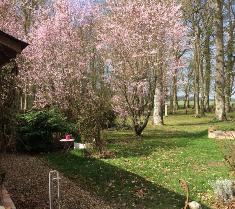 Photo of Others in Saint-Branchs