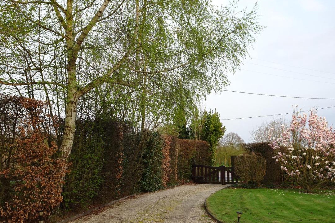 Photo of Outdoor in Coudray-Rabut