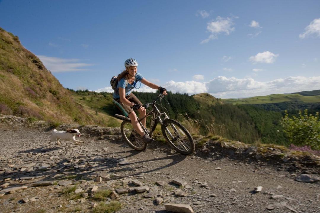 Photo of Others in Newtown