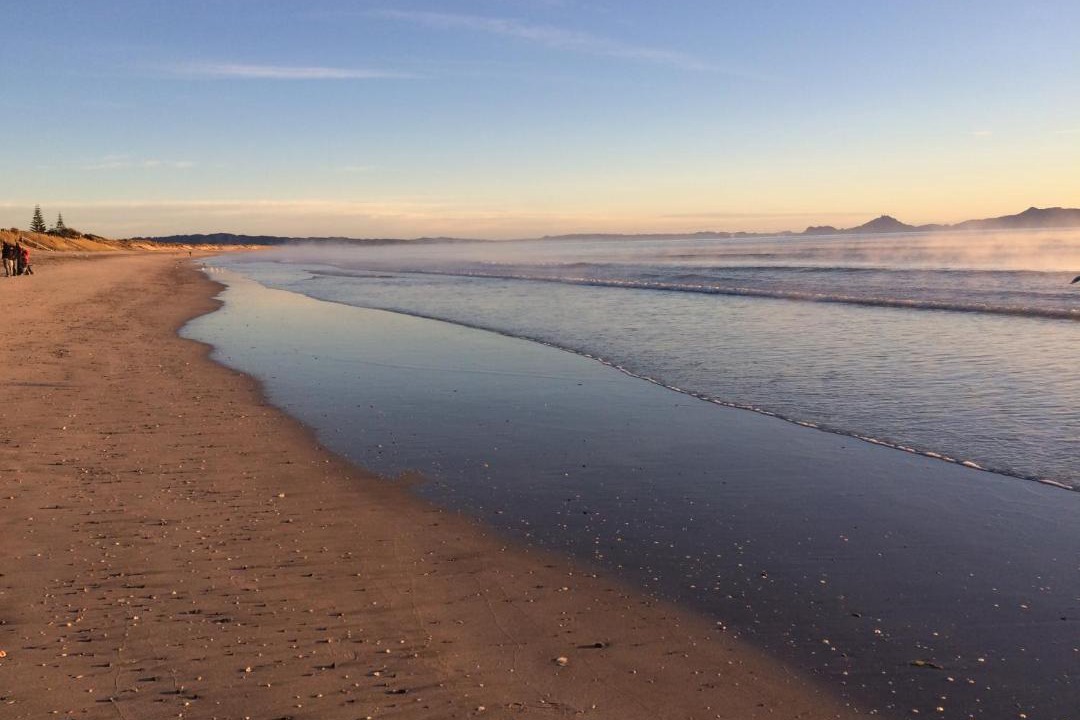 Photo of Others in Waipu