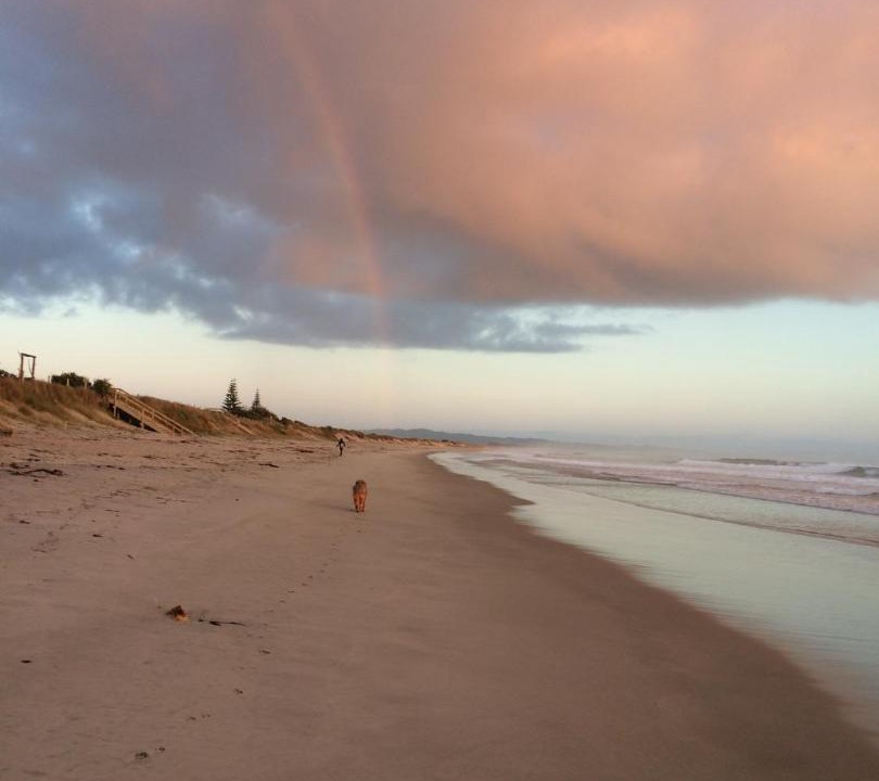 Photo of Others in Waipu