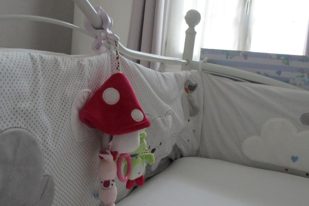 Photo of Others in Salies-de-Bearn