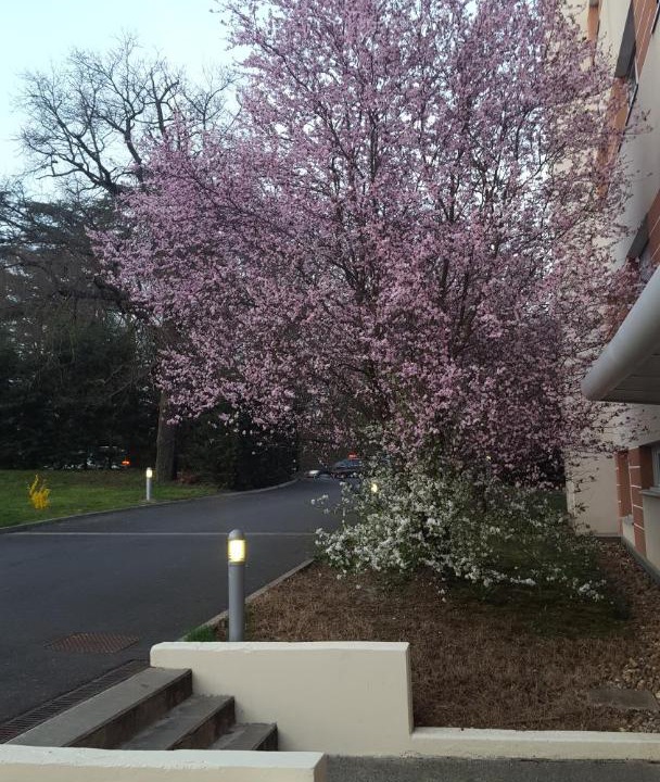 Photo of Others in Marcy-l'Etoile