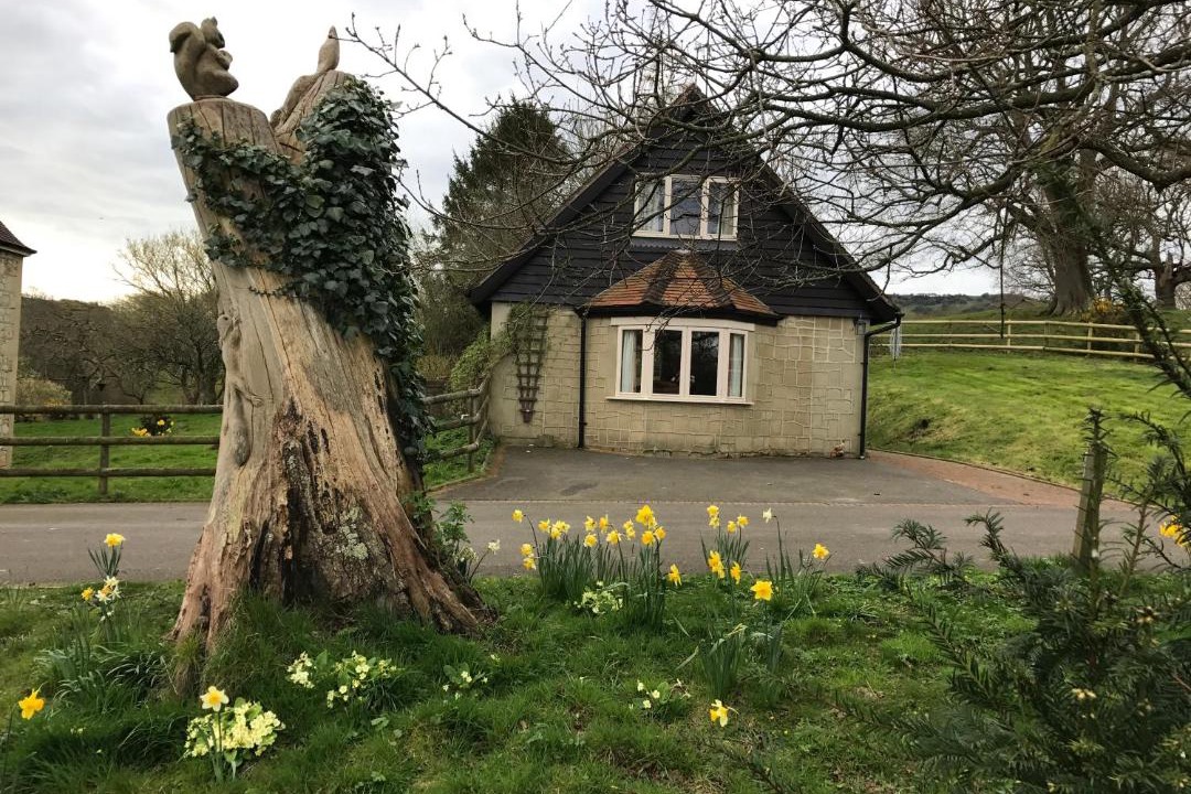 Photo of Others in Godshill