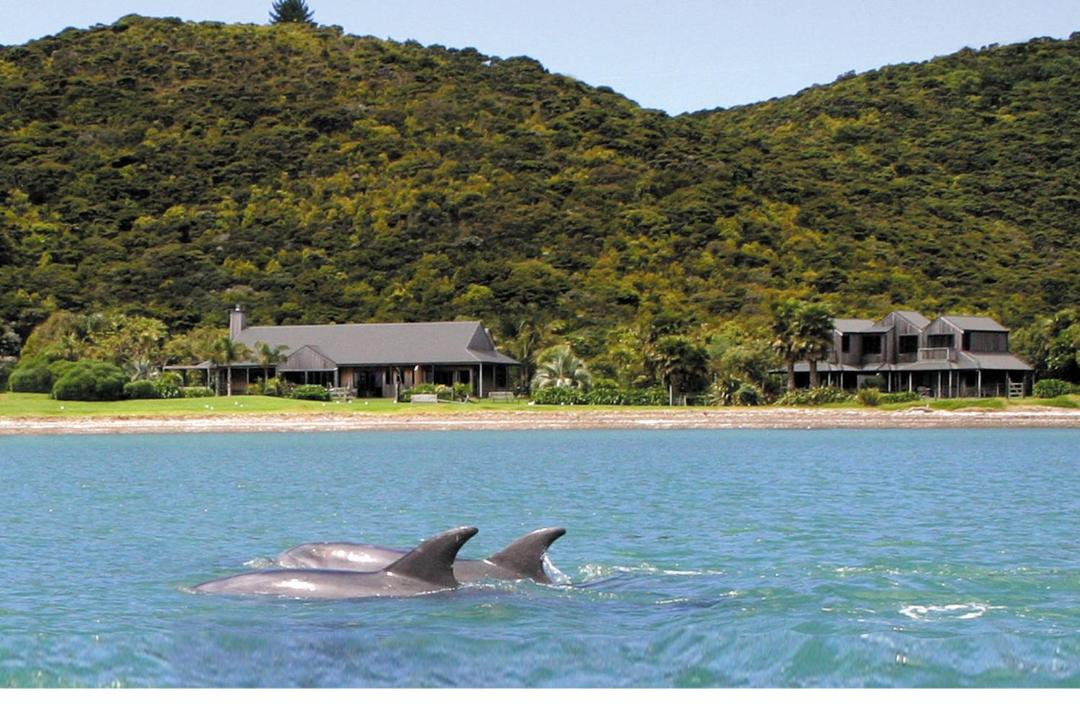 Photo of Others in Whangaruru