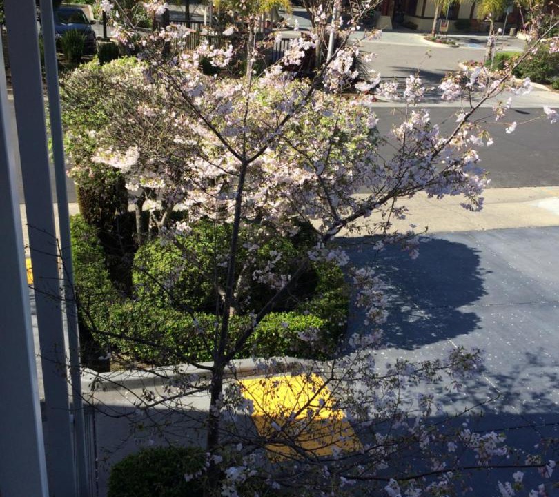 Photo of Others in Palo Alto