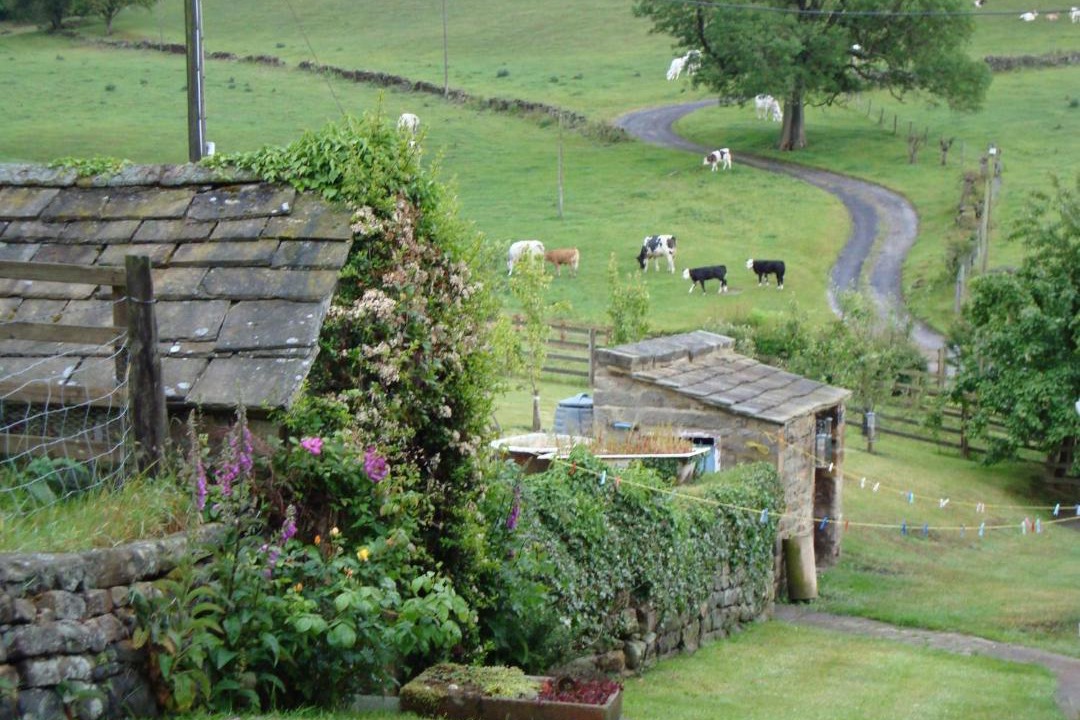 Photo of Others in Stainburn