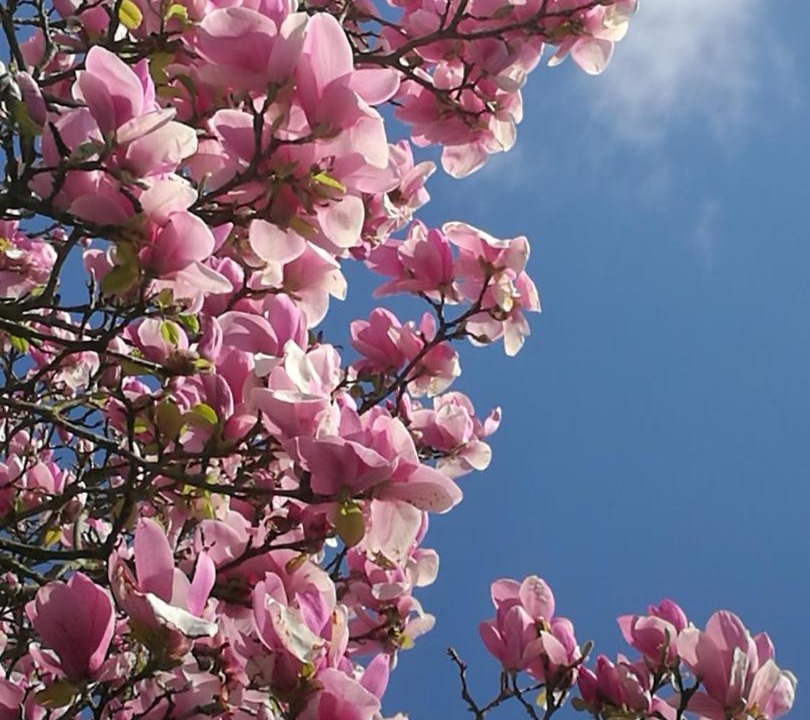 Photo of Others in Stuppington