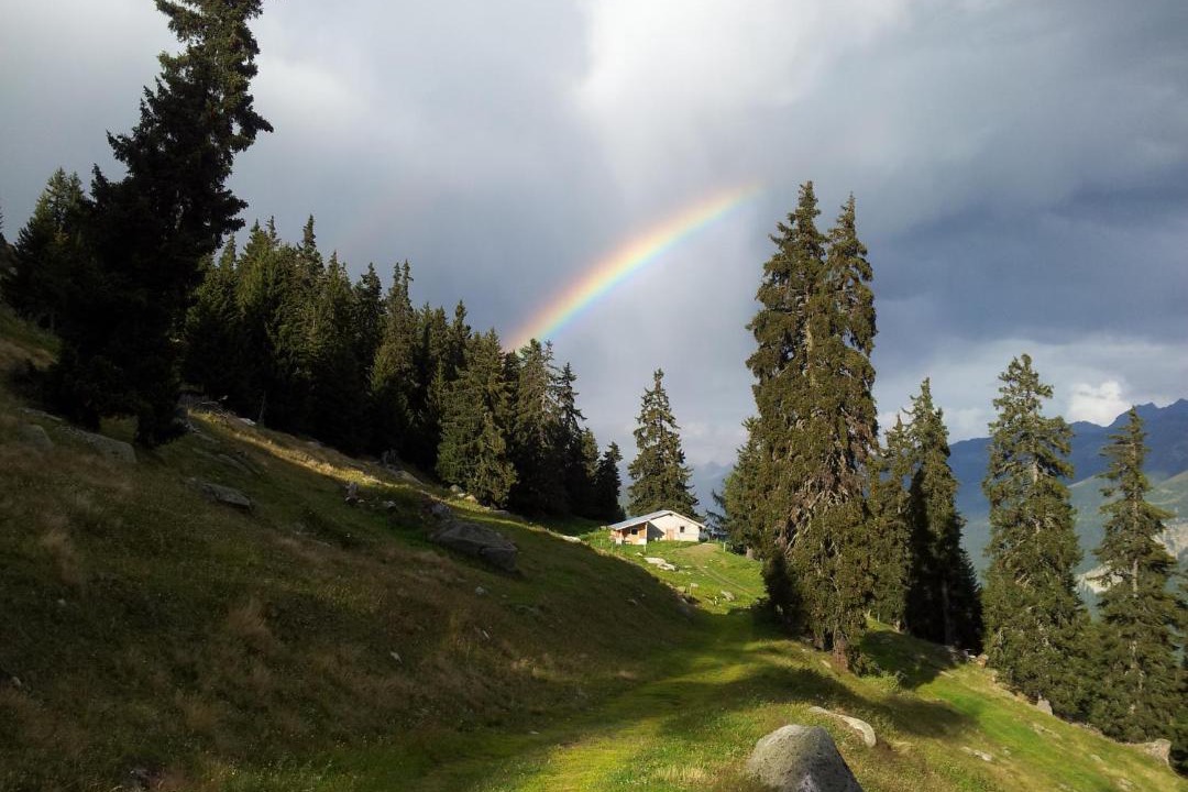 Photo of Others in Fiesch