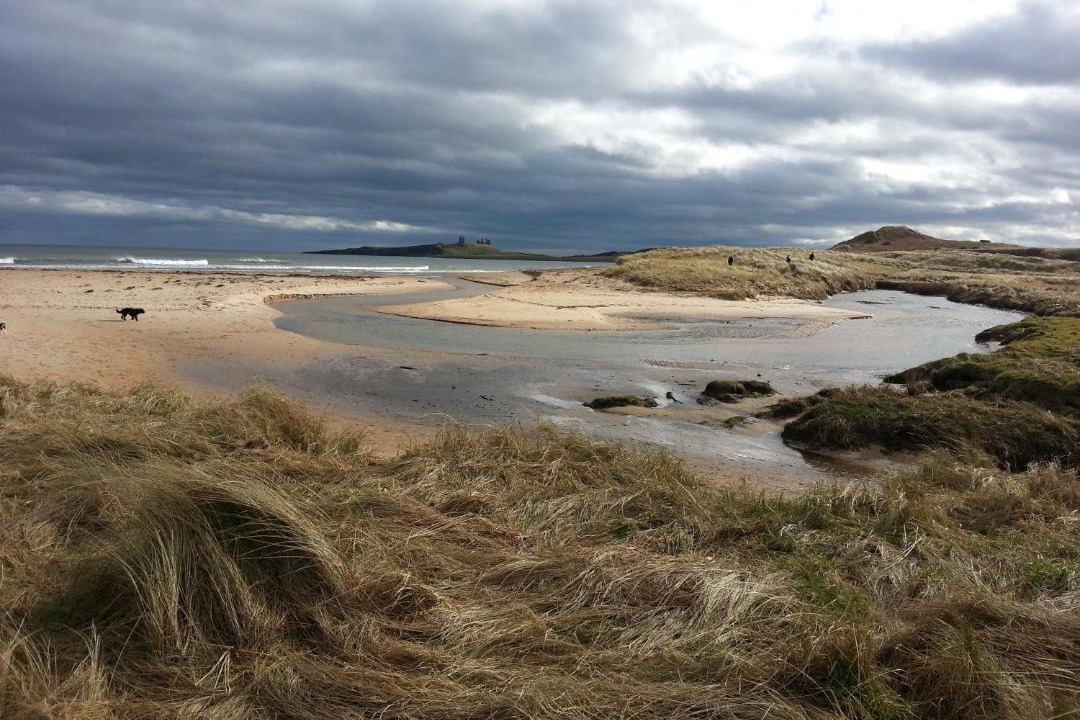 Photo of Outdoor in Morpeth