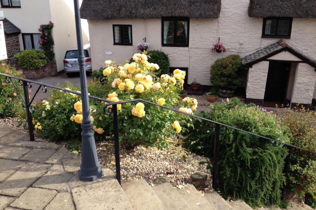 Photo of Buildings in Porlock