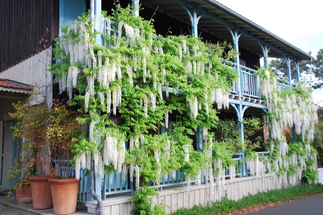 Photo of Others in Cap-Ferret