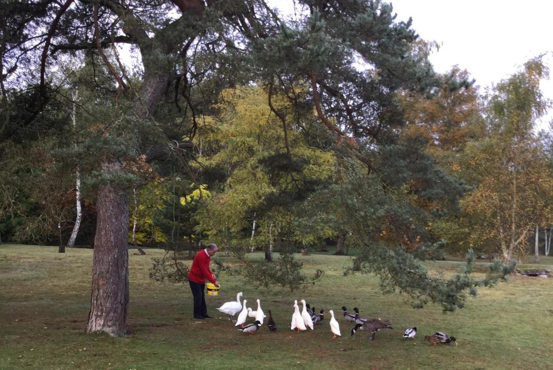 Photo of Others in Fere-en-Tardenois