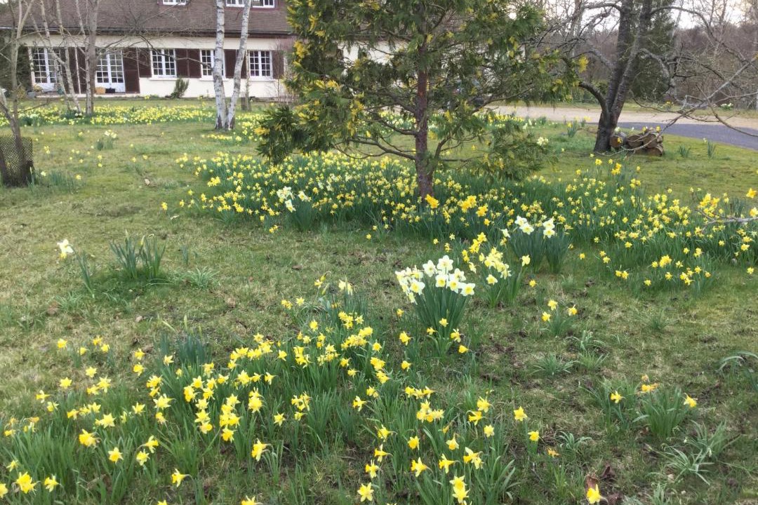 Photo of Others in Fere-en-Tardenois