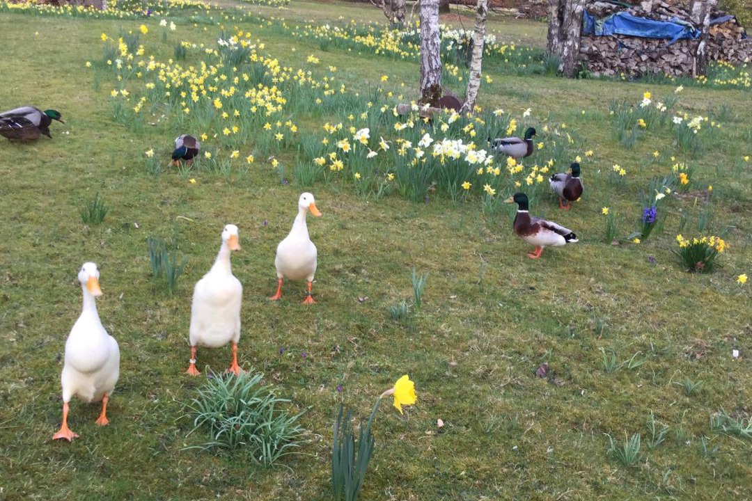 Photo of Others in Fere-en-Tardenois