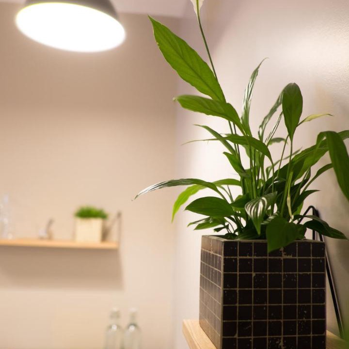 Photo of Others in Villeneuve-Saint-Georges