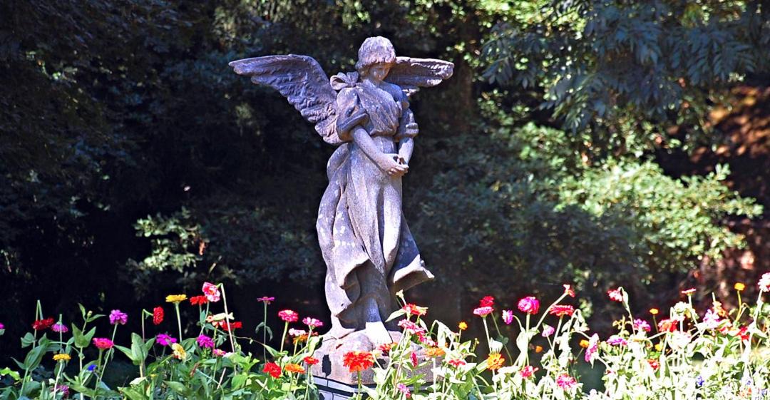 Photo of Others in Comblessac