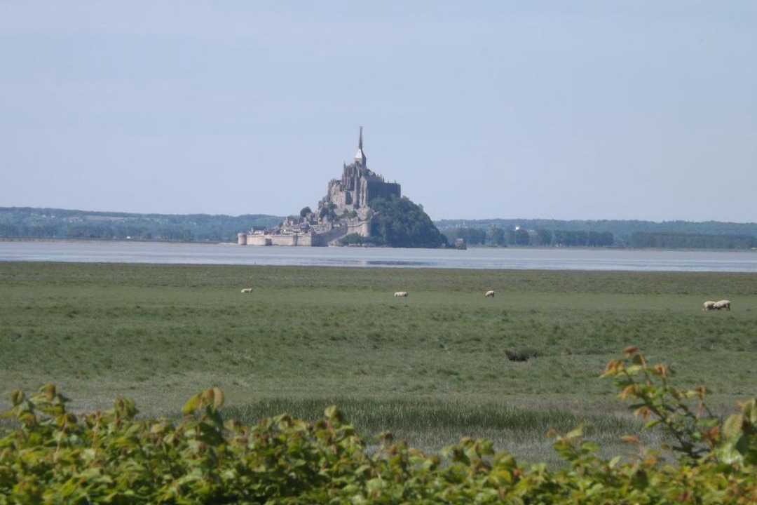 Photo of Others in Vains