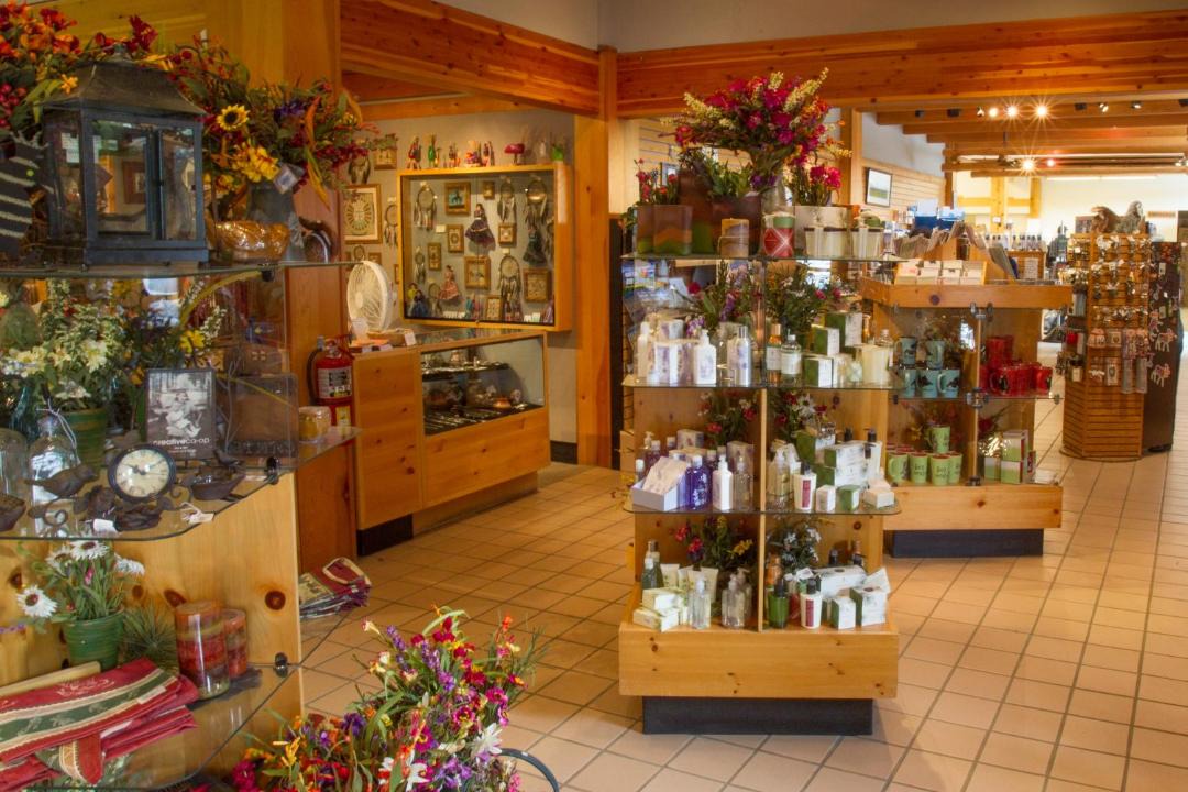 Photo of Others in Colter Bay Village