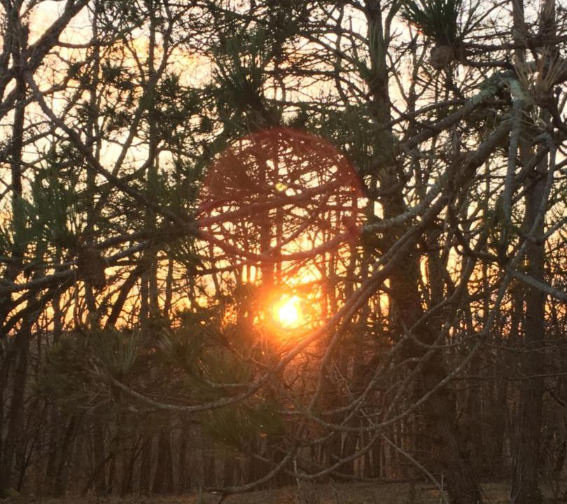 Photo of Others in Monsac