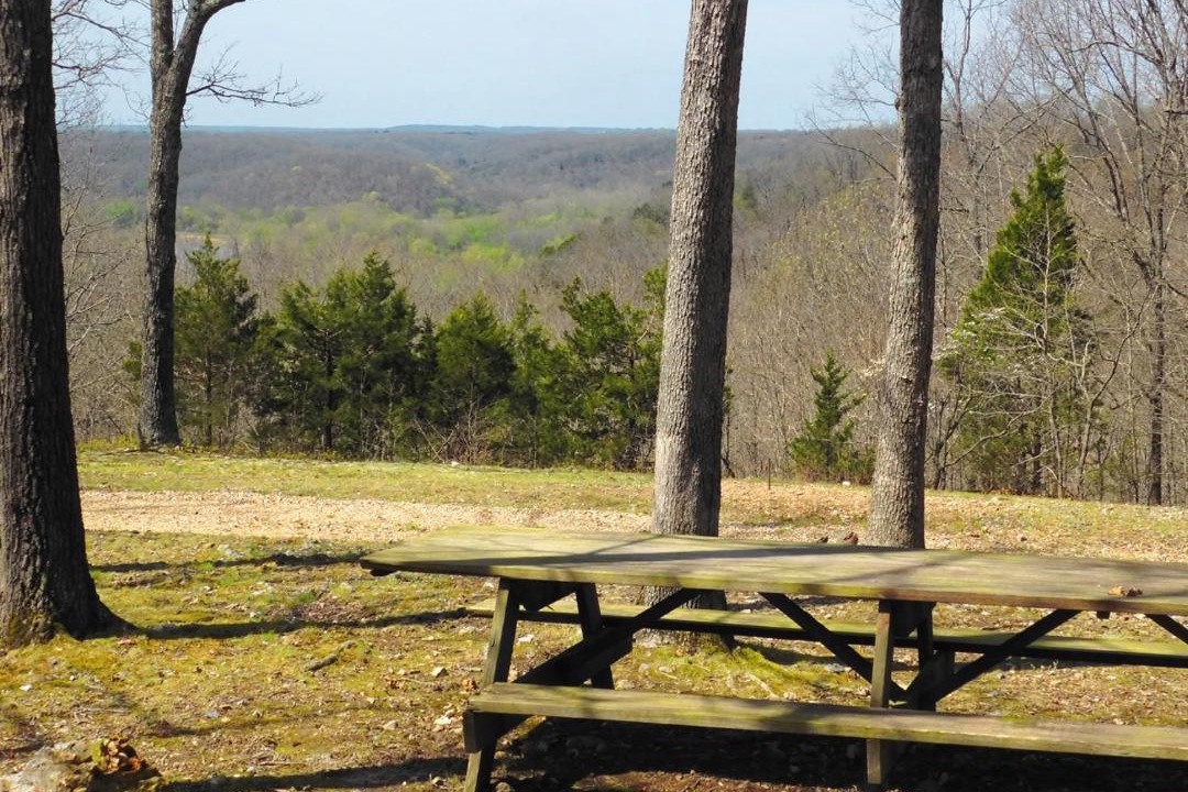 Photo of Others in Dixon