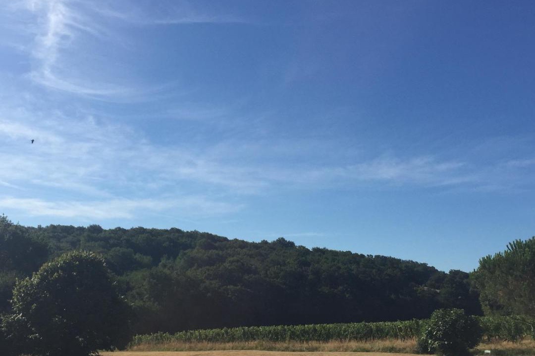 Photo of Others in Plaisance