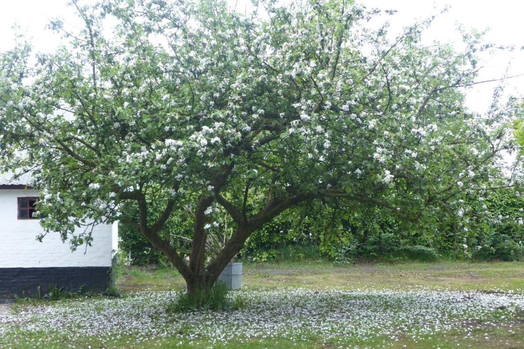 Photo of Others in Tistrup